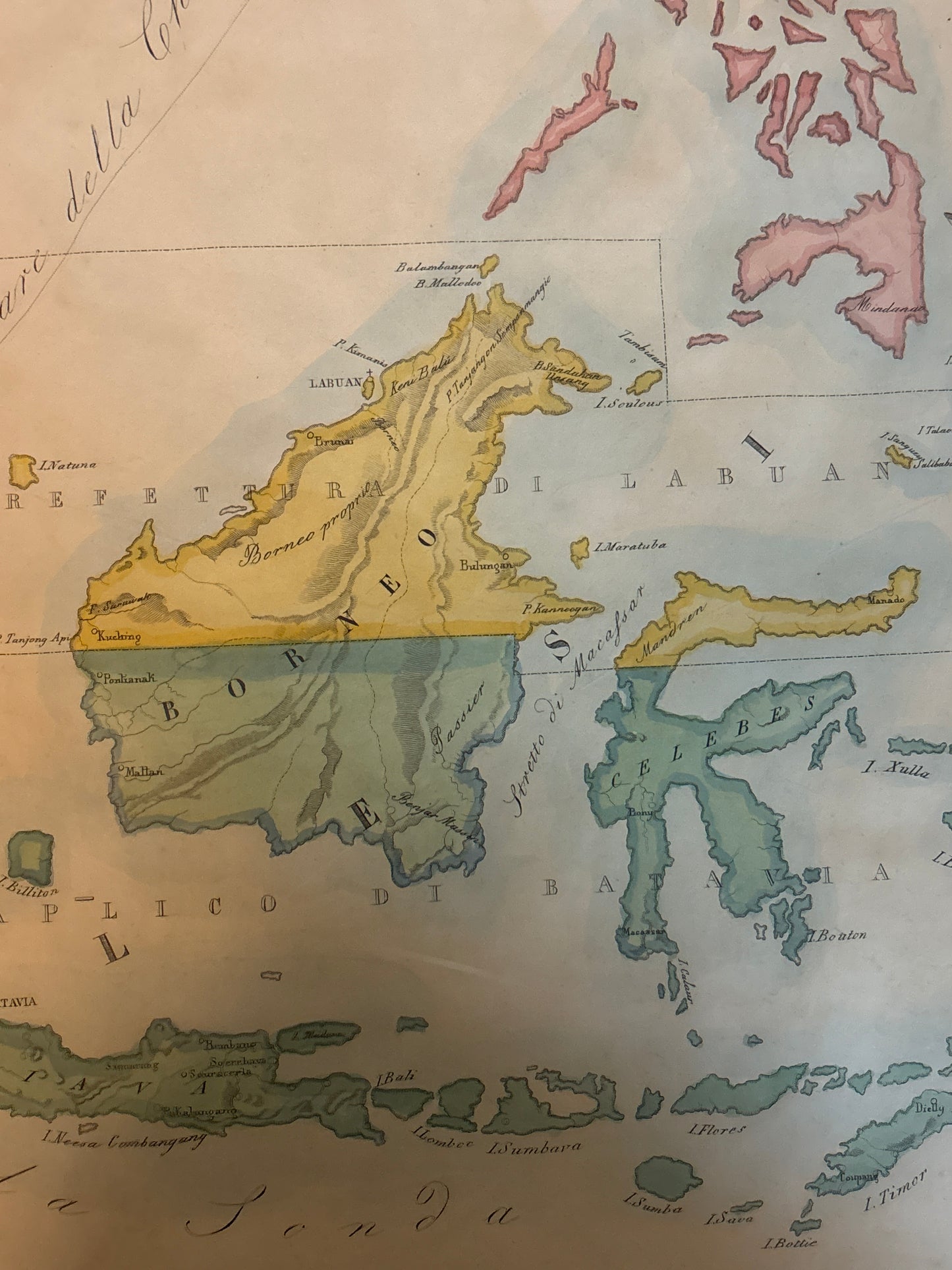 Oceania - Petri c.1858