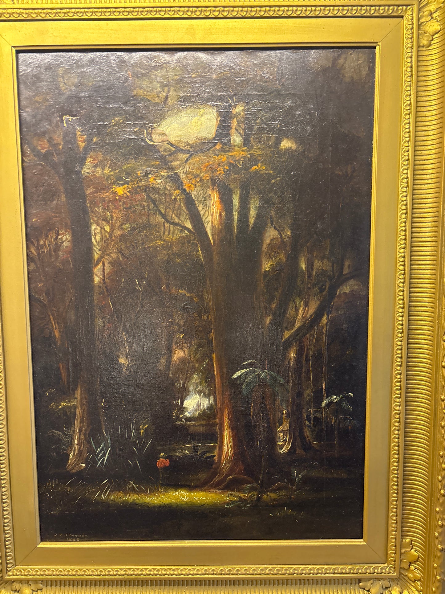 Inch Clutha Bush, Otago - JT Thomson 1868