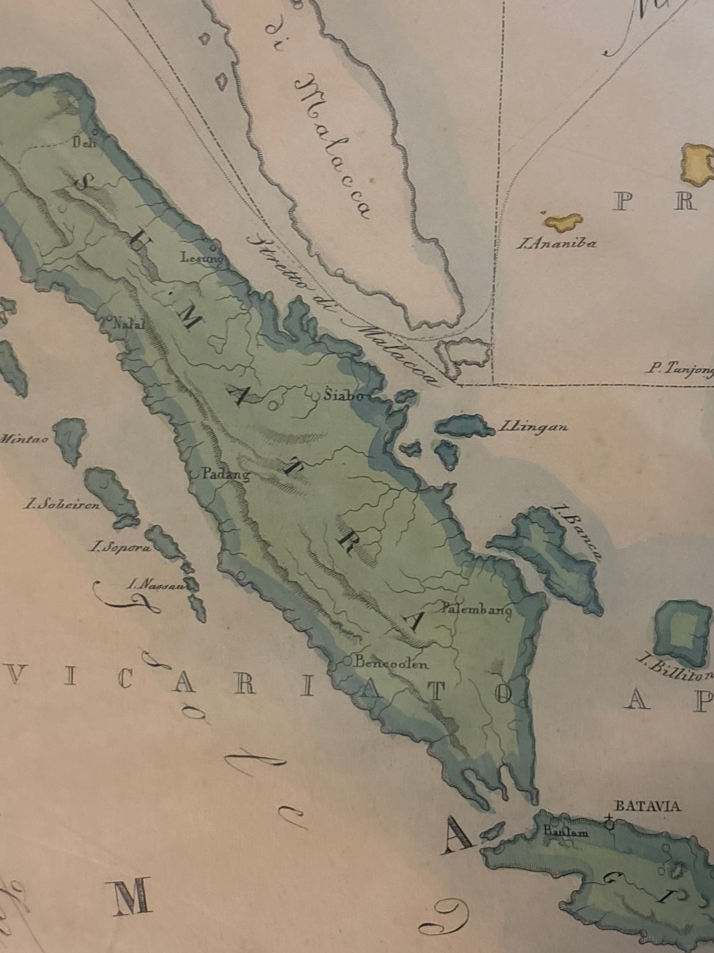 Oceania - Petri c.1858