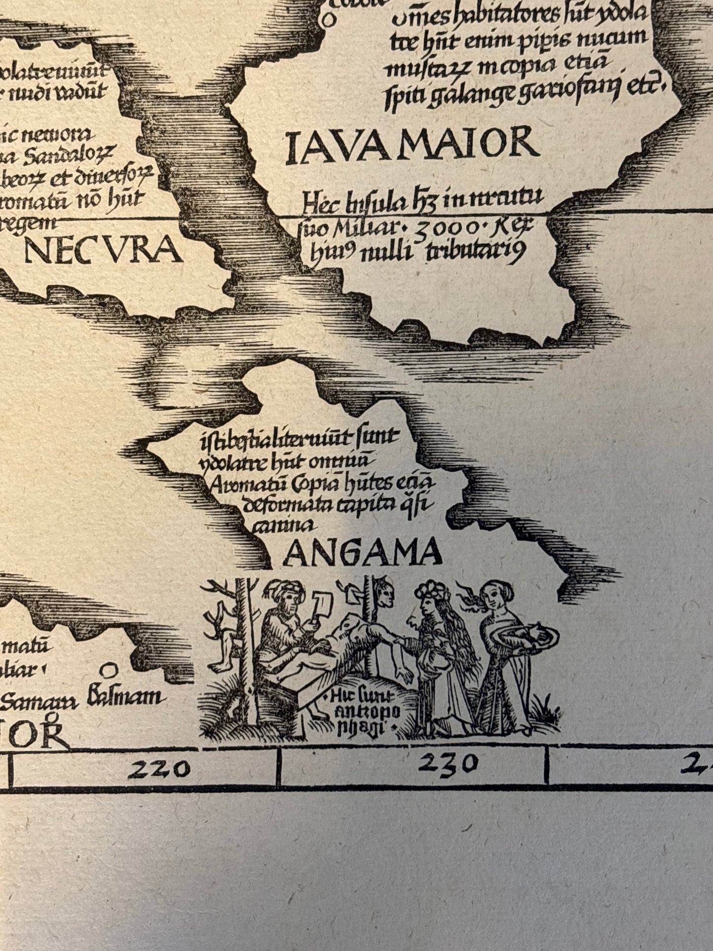 Tabula noua Indiæ orientalis & meridionalis - Munster c.1540