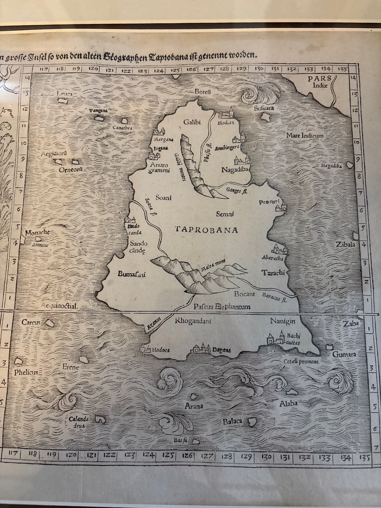 Sumatra - Munster c. 1540