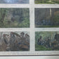 British North Borneo - Illustrated London News 1887