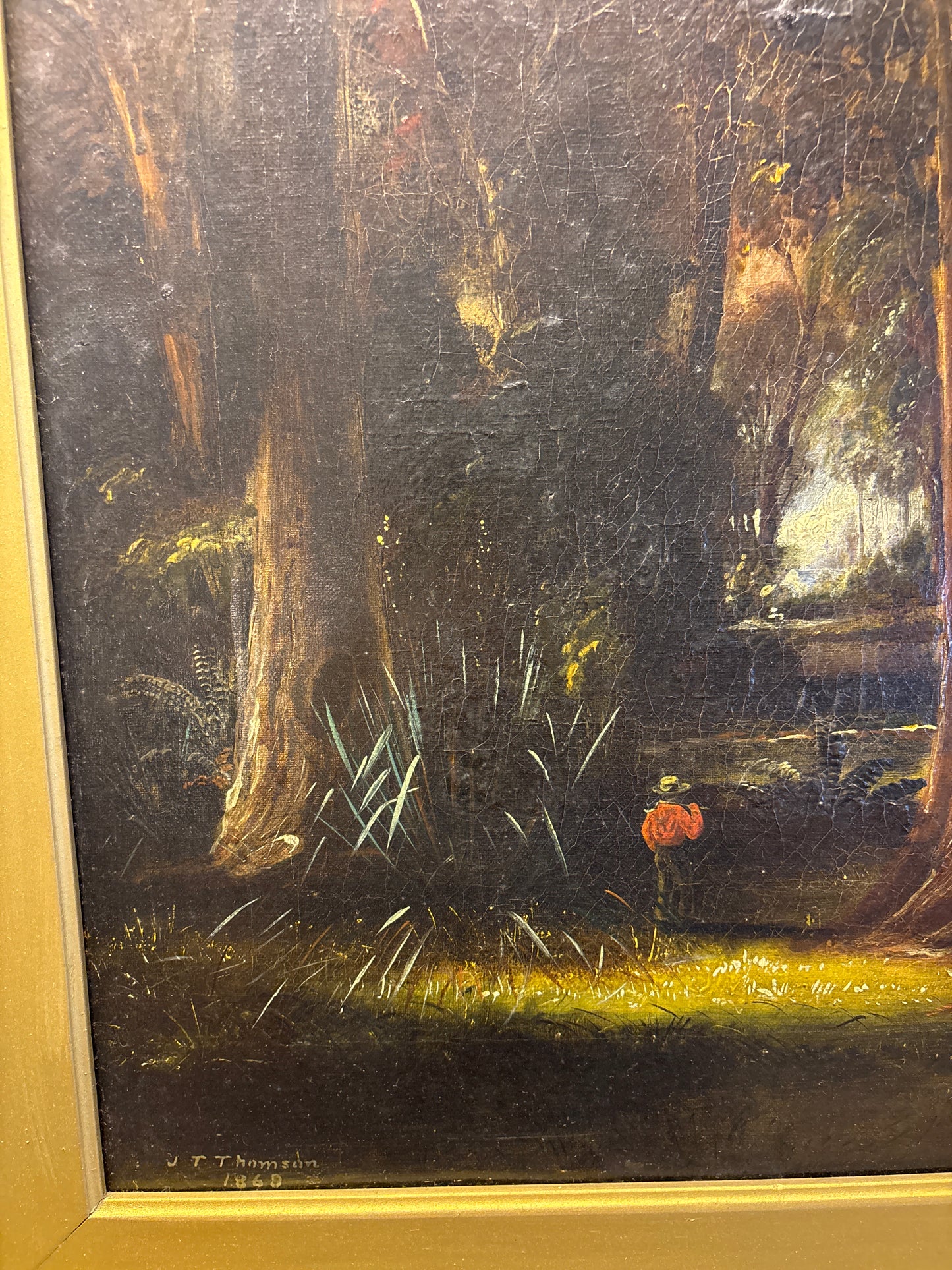 Inch Clutha Bush, Otago - JT Thomson 1868