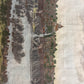 The city of Palembang with its three Forts c1745