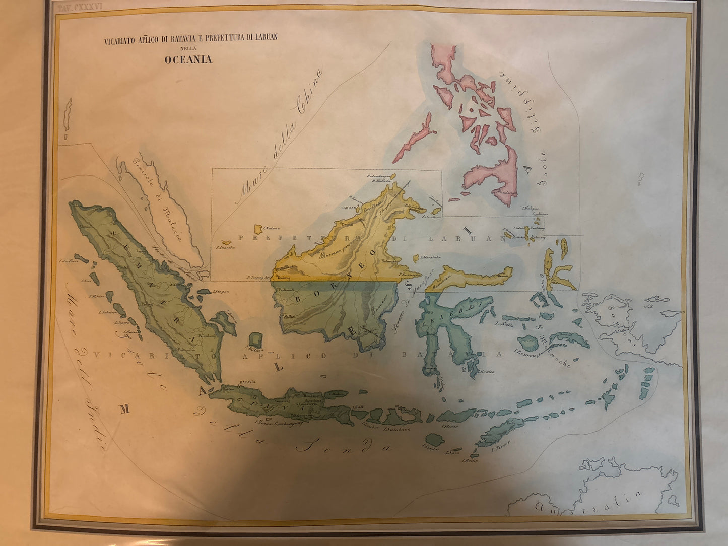 Oceania - Petri c.1858