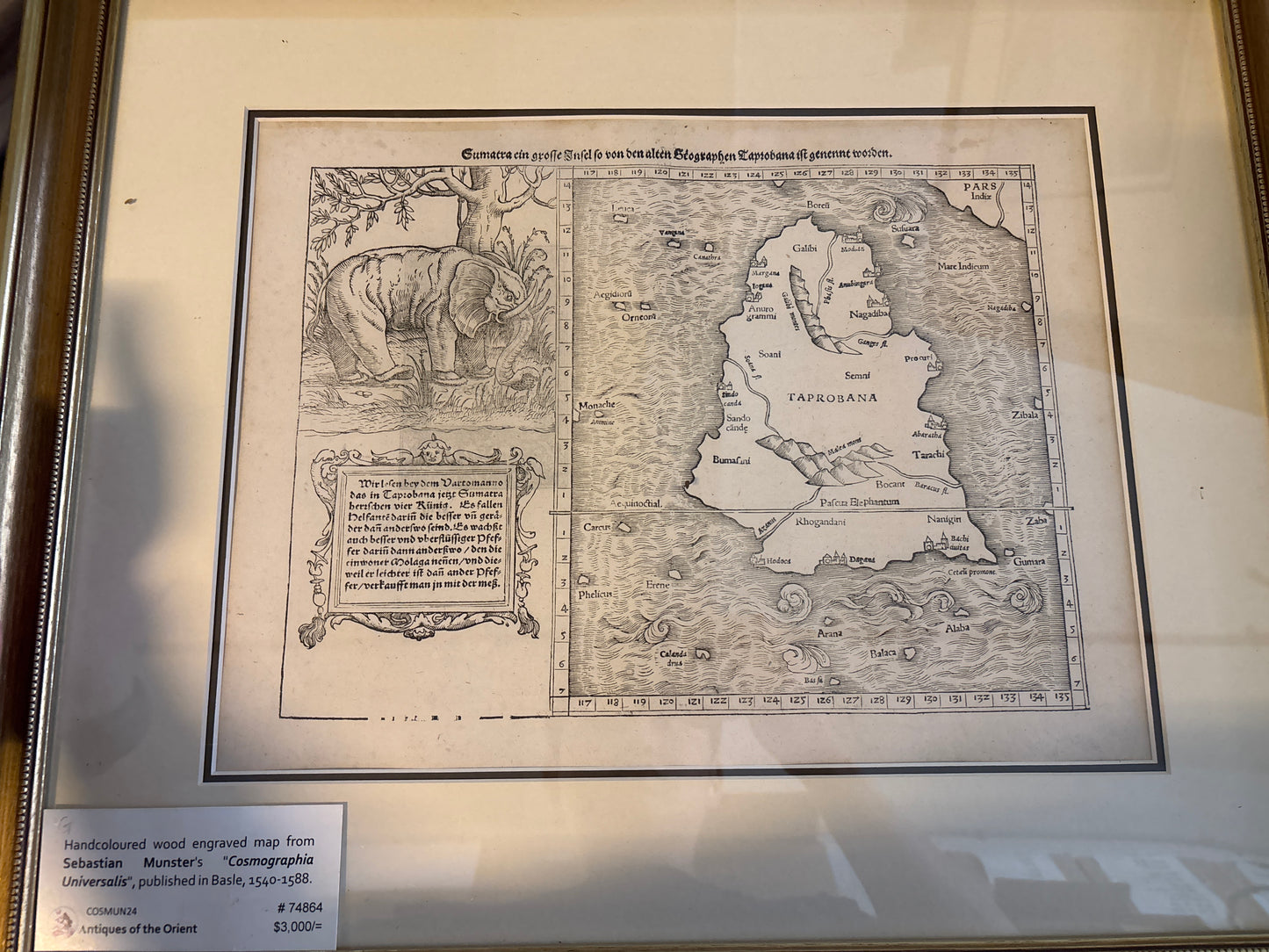 Sumatra - Munster c. 1540